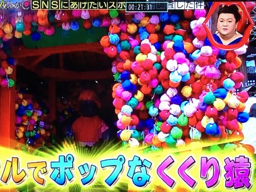 月曜から夜ふかしSNSにあげたいスポットを紹介！インスタにあげたくなる写真とは