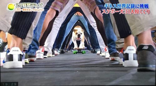 【24時間テレビ2017】ギネス記録チャレンジの結果と達成率は？